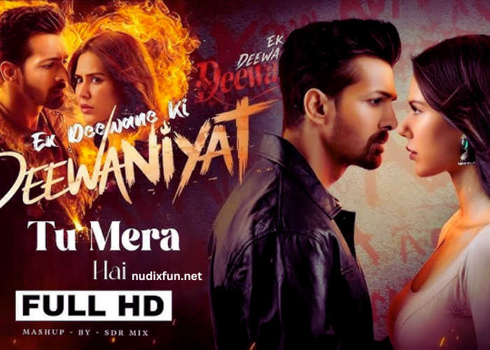 Ek Deewane ki Deewaniyat